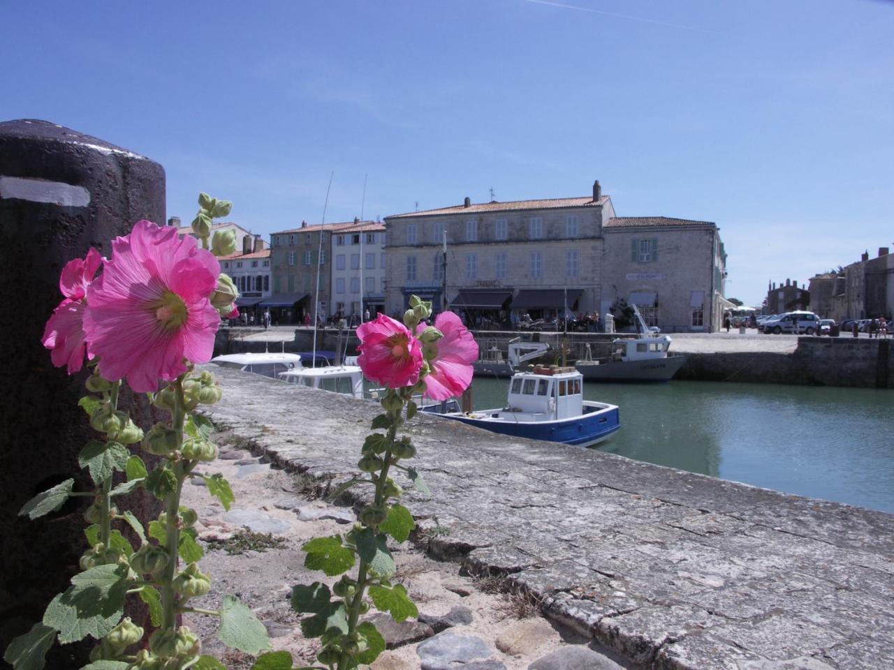Appartement Fauvette Saint-Martin-de-Ré Εξωτερικό φωτογραφία